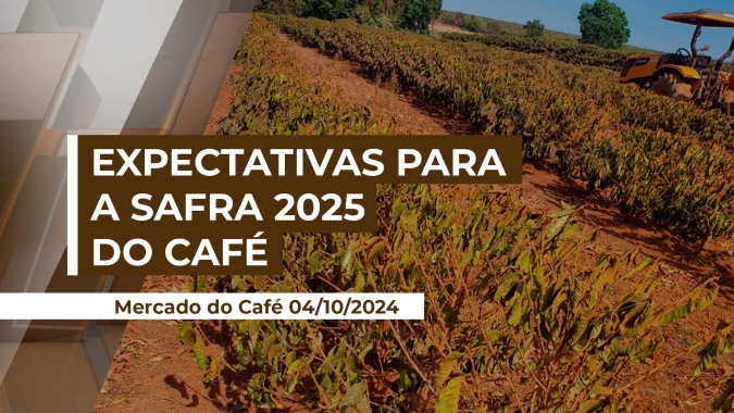 O clima seco no Brasil já afetou a produtividade da safra 2025