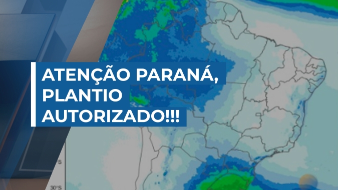 As chuvas estão de volta com  plantio autorizado para o Sul do Brasil;  Centro-Oeste e Sudeste devem aguardar  próximas semanas