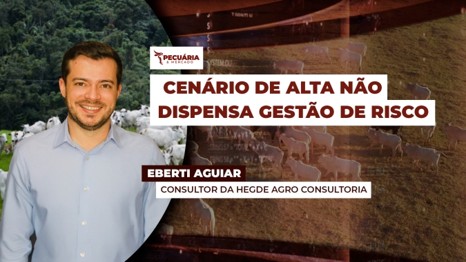 Cenário de recuperação da arroba do boi deve ser sustentado por uma boa gestão de risco