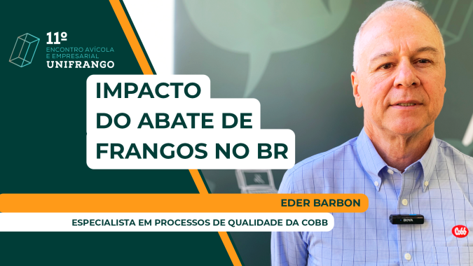32% das condenas de aves no Brasil são por contaminação