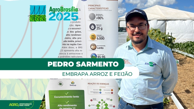 Nova cultivar de feijão carioca da Embrapa garante mais produtividade e qualidade de grãos