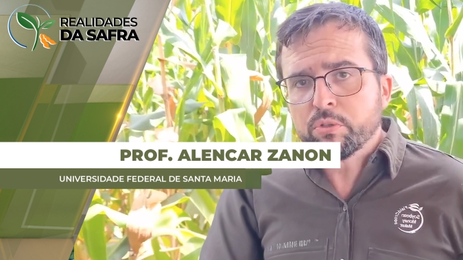 Pesquisas mostram que aumento de nitrogênio no sistema, combinados com plantas de cobertura, podem ampliar produtividade de soja e milho