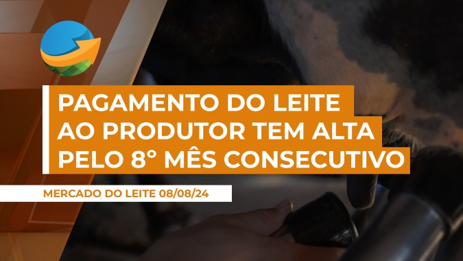 Pelo oitavo mês consecutivo, pagamento do leite ao produtor tem alta, mas desta vez, com menor intensidade