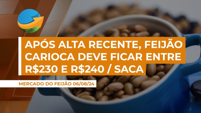 Após alta da semana passada, feijão carioca deve se estabilizar entre R$230 e R$240 por saca