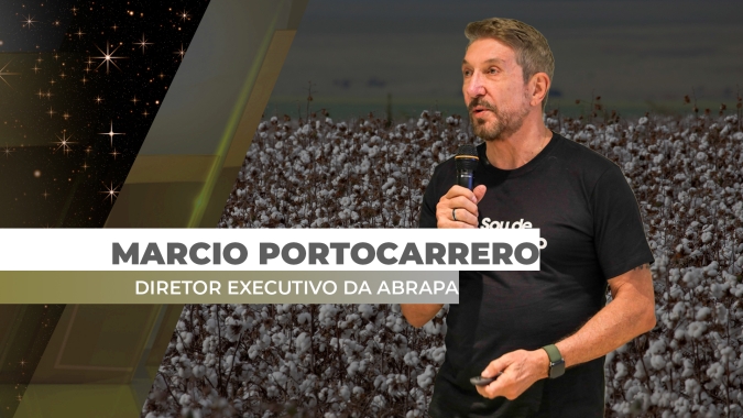 Após 2024 mais positivo do que o esperado, algodão tende a ter um bom 2025