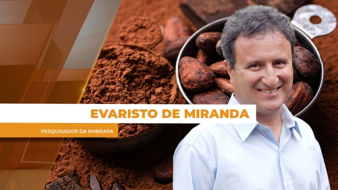 Dia Nacional do Cacau: entre desafios no campo e novas oportunidades no mercado