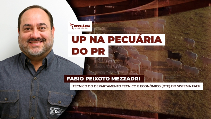 Paraná retoma projeto Pecuária Moderna na busca por melhores índices zootécnicos no estado