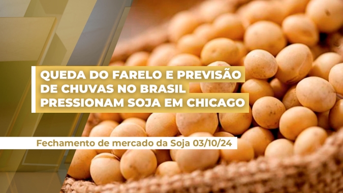 Farelo em queda e melhora das previsões climáticas para o Brasil dão tom negativo para a soja em Chicago