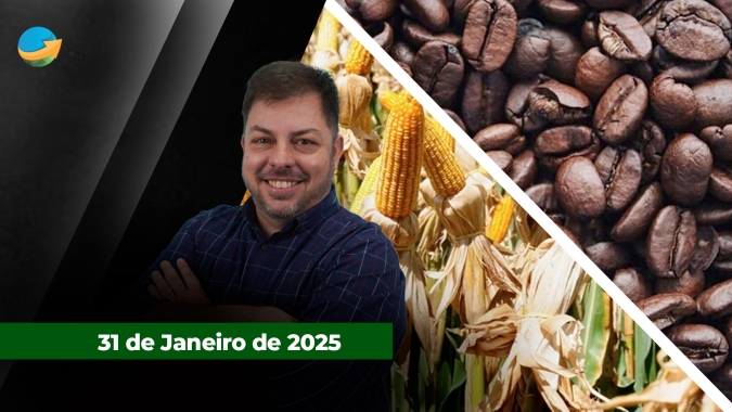 Dia de pressão sobre as commodities com milho liderando as quedas;  café é exceção com renovação de preços recordes em NY