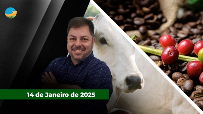 Produção recorde de soja pode gerar complicações logísticas e fretes caros; enquanto boi gordo aguarda consumo da segunda quinzena