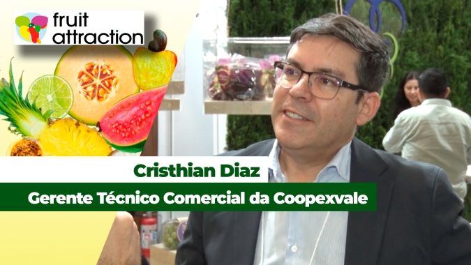 Coopexvale espera ampliar exportações de uva após acordo Mercosul-União Europeia passar a valer