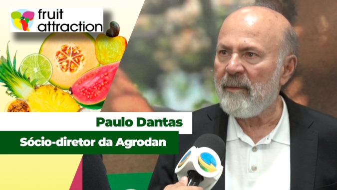 Maior produtor e exportador de manga do Brasil quer mudar estratégia e apostar mais no mercado interno