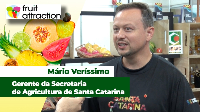 Maior produtor de maçã do Brasil, Santa Catarina ressalta importância da fruticultura e do turismo rural