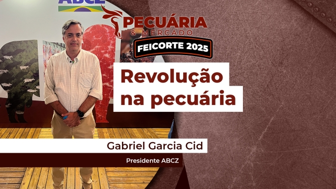ABCZ avança no melhoramento genético dos zebuínos com foco na qualidade da carne e produção eficiente de carcaça