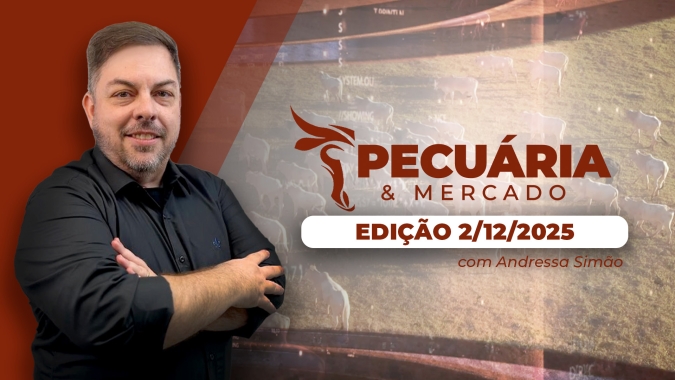 Alta da arroba em dezembro deve se concentrar na primeira quinzena do mês e de forma contida, alerta Cepea