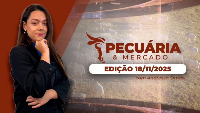 Mercado físico mantém firmeza e boi gordo segue cotado a R$ 320/@ apesar da pressão nos futuros