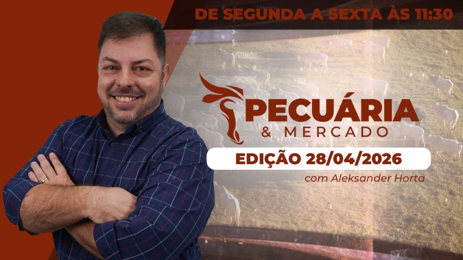 Arroba do boi segue sob pressão, mas fundamentos vão em direção contrária, principalmente pelas demandas.