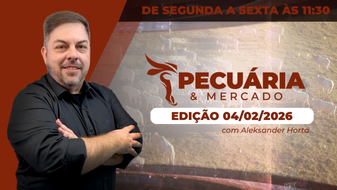 Arroba em SP pode buscar os R$340 ao longo de fevereiro; movimento de alta deve se concentrar no interior do Brasil