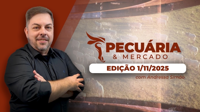 Desempenho do consumo interno de carne será determinante para alta nos preços da arroba em dezembro