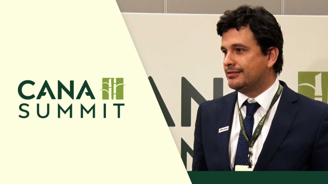 Cana Summit: Com futuro da cana-de-açúcar em discussão, começa encontro em Brasília (DF); precificação dos produtores será debatida
