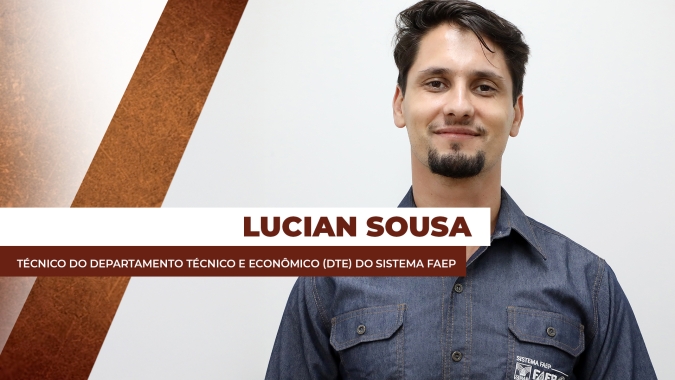 Ocupação territorial: O café foi o motor do povoamento do Estado do Paraná