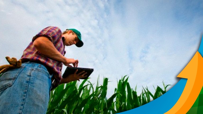 Gestão eficiente pode ser a diferença para bons resultados no campo