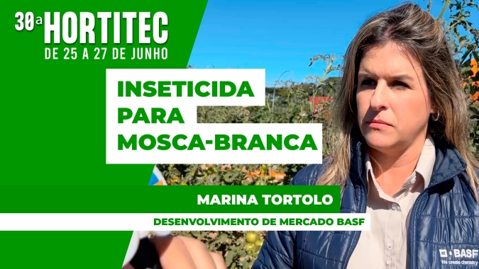 Novo inseticida ajuda no controle da mosca-branca, um dos principais desafios da tomaticultura