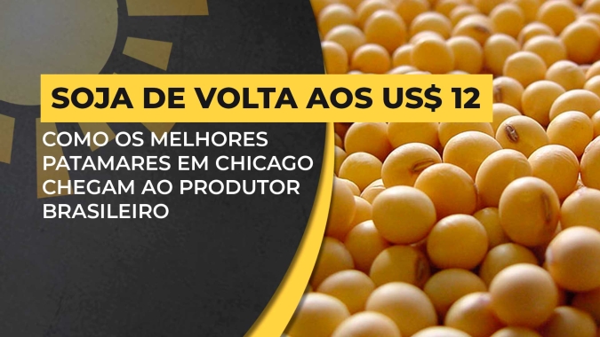 Soja: Preços nos portos do Brasil já subiram até R$ 10/saca desde o 'fundo do poço' dos últimos dias