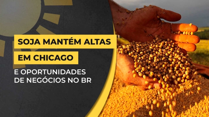 Soja mantém altas na Bolsa de Chicago nesta 5ª e oportunidades de negócios no Brasil