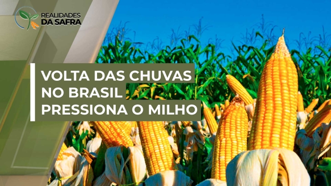 Volta das chuvas no Brasil pressiona e milho recua nas bolsas desta sexta-feira