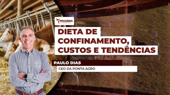 Dieta de confinamento no Centro-Oeste está mais cara que no Sudeste e limita margem do pecuarista