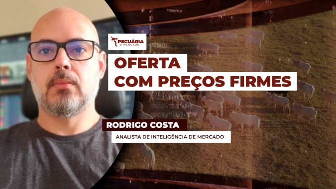 Volume de animais abatidos em março é 10% maior comparado a fevereiro, mas demanda forte evitou pressão nos preços