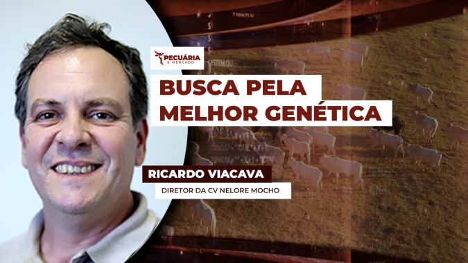 Pecuarista conta como é feita a seleção de um animal com potencial de compor o catálogo das Centrais Genéticas