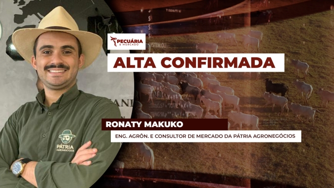 Arroba do boi tem movimento generalizado de alta e algumas regiões já praticam preços próximos  aos de SP