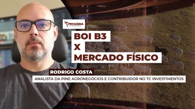 Queda forte da arroba na B3 não chega ao mercado físico, que tem cenário mais resiliente