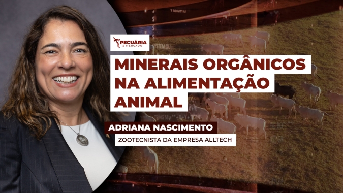 O uso de minerais orgânicos proteinatos para alta performance zootécnica e menor impacto ambiental