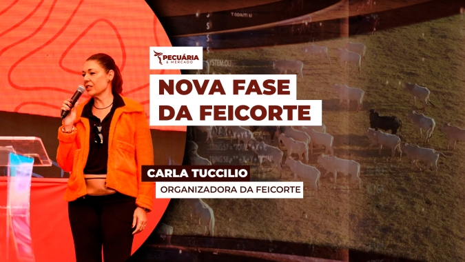 Feira focada na produção de animais para corte apresenta novidades e discute temas relevantes para o setor