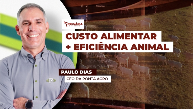 Estabilidade na oferta de grãos e coprodutos e eficiência na conversão alimentar ajudam a reduzir custo dos alimentos