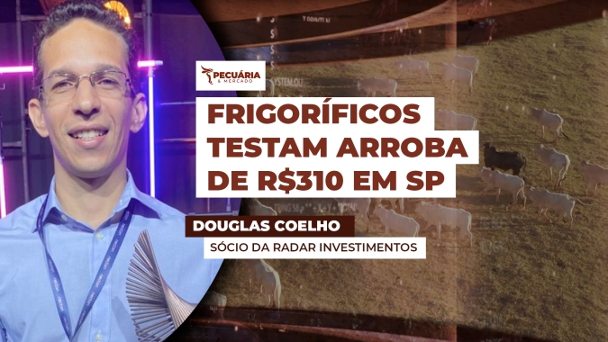 Frigoríficos testam arroba de R$310 em SP, mas pecuarista resistem; pressão deve seguir na próxima semana