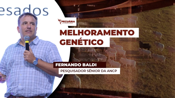 Grupo brasileiro vai aos EUA em busca de aprimoramento