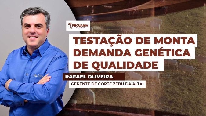 De olho na estação de monta, escolha de boa genética é decisiva