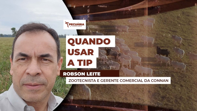 Técnica possibilita ganho de peso dos animais por meio de suplementação e manejo das pastagens