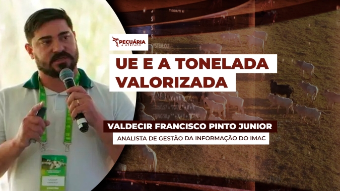 Carne exportada de MT tem valorização de 34% em relação ao primeiro bimestre de 2025 e UE é quem paga melhor