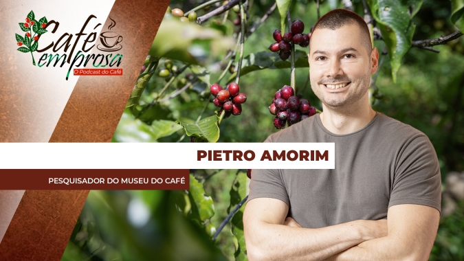 Pilar histórico e econômico: A cafeicultura foi fundamental para o desenvolvimento do Estado de São Paulo