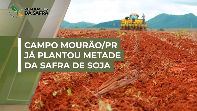 Campo Mourão/PR já plantou metade da safra de soja e começo do desenvolvimento é positivo