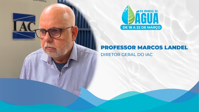 Pesquisa de cultivares de cana e a relação da produtividade com a irrigação