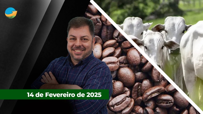 Sexta-feira encerra com queda da arroba nas principais praças pecuárias do país; Café tem dia de realização de lucros em NY e devolve parte dos ganhos da semana