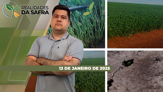 Paraná começou a colher soja com menos produtividade e Mato Grosso espera problemas