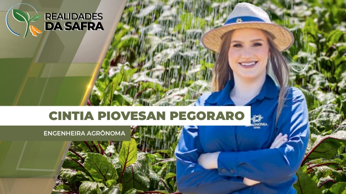 Chuvas atrasam colheita da soja no oeste baiano, apesar da produtividade regular