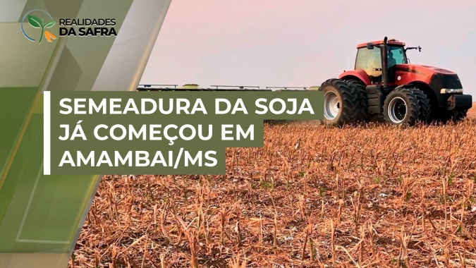 Semeadura da soja já começou, ainda de forma incipiente em Amambai/MS, diz presidente do Sindicato Rural
